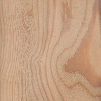lemn Larice